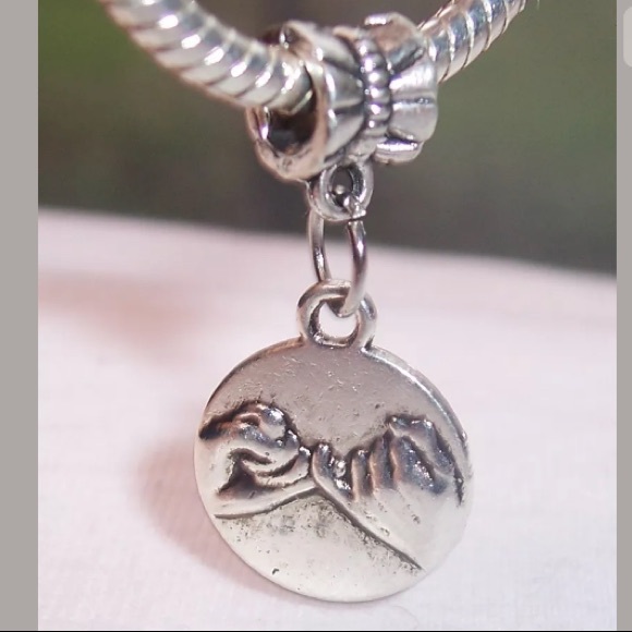 charm fit pandora charm fit pandora